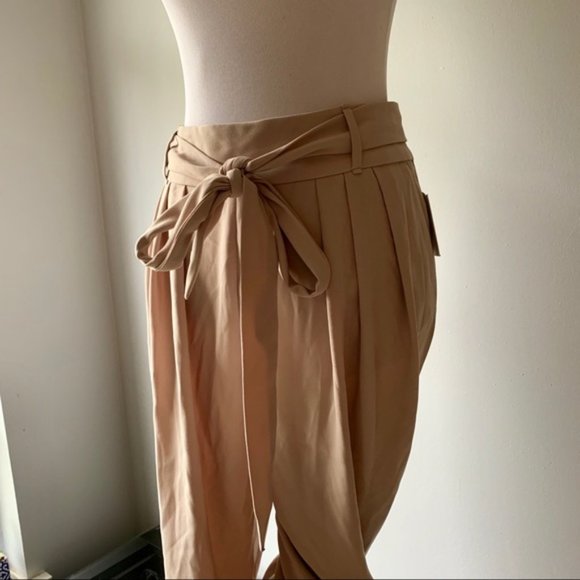 Ellen Tracy Beige Pants - Picture 2 of 8